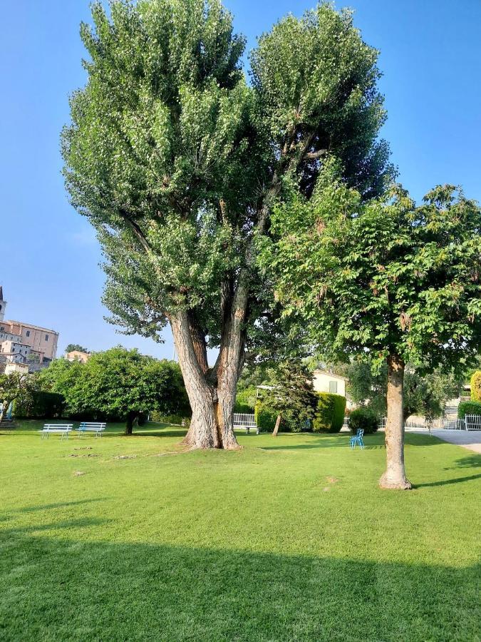 شقة Residenza Palmira Bardolino Calmasino المظهر الخارجي الصورة